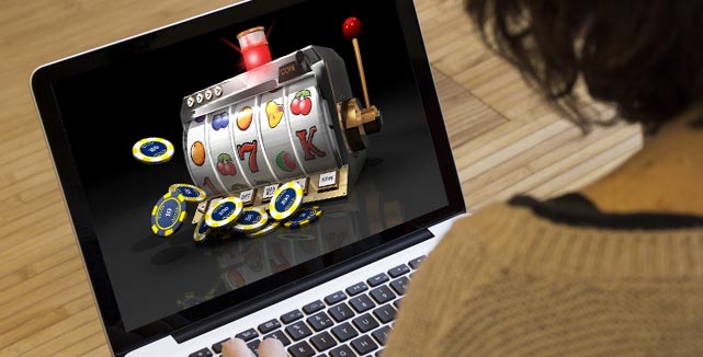 Playhub Casino Your Ultimate Online Gaming Destination